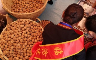 坚果科技公司 坚果种出“科技范儿”——来自云南省临沧市的调查