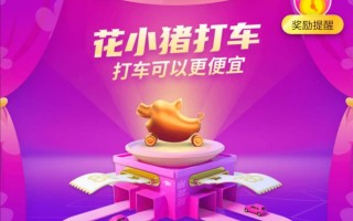 北京小猪科技 花小猪“火”了，背后却显露出一个治理困境