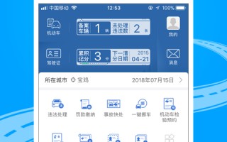 个人维护软件记录管理软件 交管12123app，能否查询车辆的维修保养记录？真相来了！