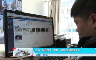 电脑室科技 制作销售“外挂”涉嫌违法犯罪 揭秘游戏里的“科技”与“狠活”