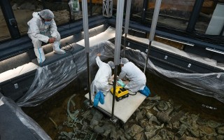 崔氏科技 考古2021︱科技考古：“大”“小”兼备，百川汇流