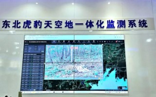 吉显科技 吉视传媒：战略转型显成效，新兴业务快速发展