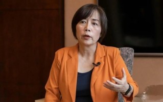 台湾高科技棉 黄智贤：台湾唯一的出路是统一