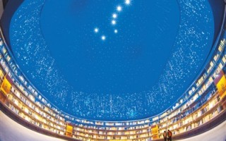 北京凤天科技 变化鱼龙地 飞翔鸾凤天