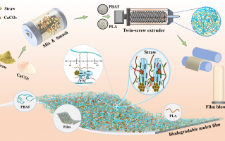 康森生物科技 人工合成降解酶保障粮食安全！深圳合成生物大设施有阶段性成果
