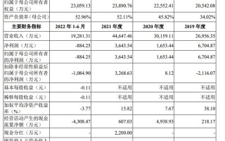 依诺电子科技 飞依诺科创板IPO，依赖经销模式，境外销售收入存风险