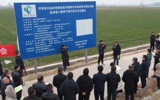 延津科技展 强化科技成果转换 探讨高产经验模式 河南省农科院与15个院县共建县相约延津