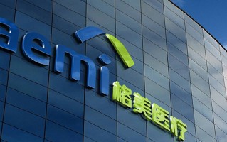 北京格美科技 格美科技：信息技术服务的创新领航者