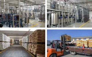 品顺科技有限公司 每天预计产出4万斤！盐城这里大丰收…