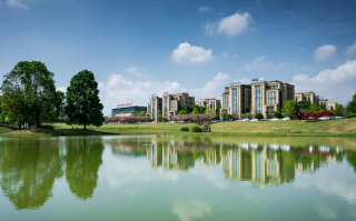 天府科技园 电子科大科技园（天府园）：入驻企业超200家 电子信息产业占比92%以上