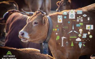 畜牧科技 给畜禽养殖产业插上科技翅膀——看增鑫科技如何抢占畜牧机械新赛道